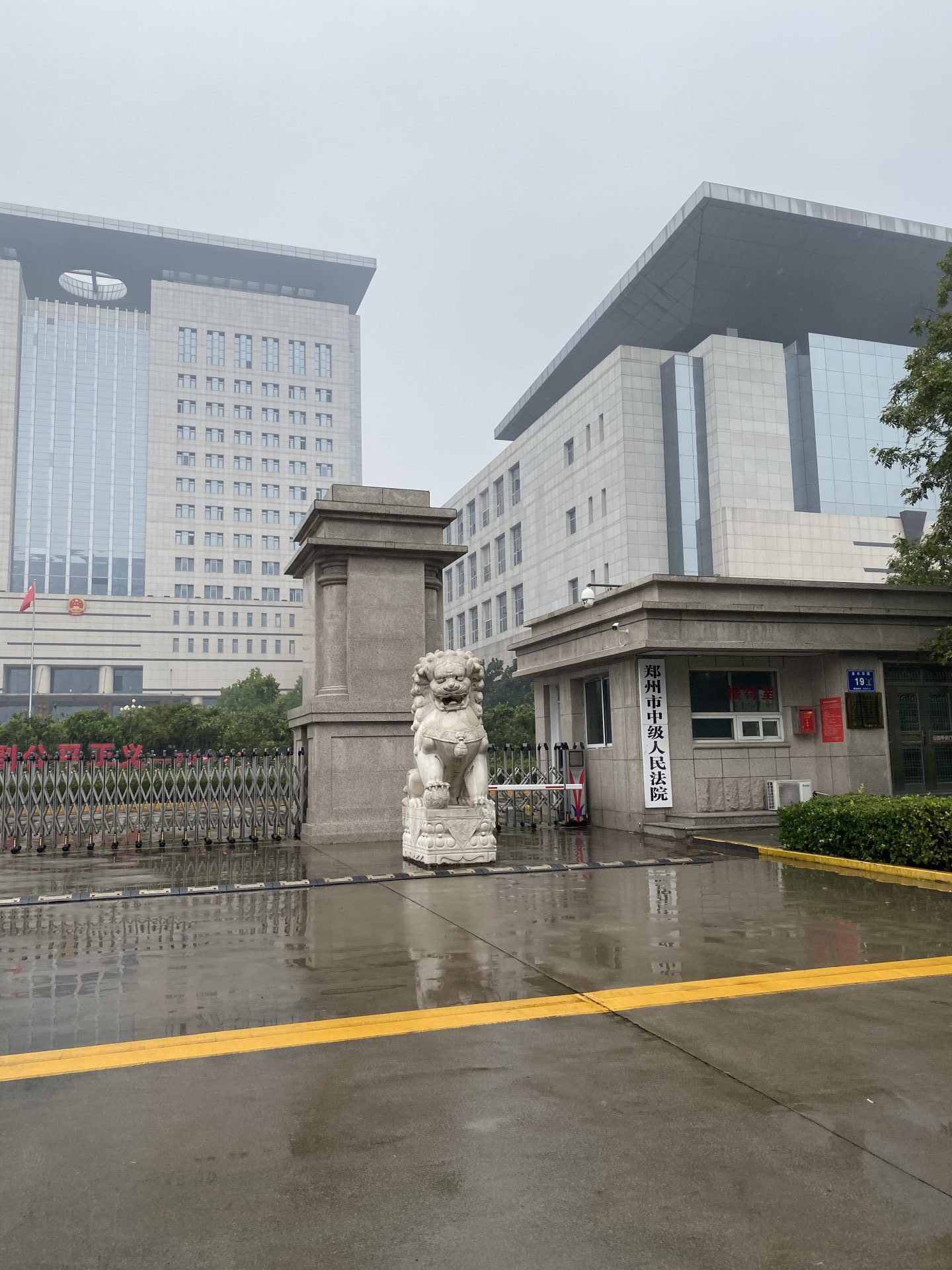 Hearing in Henan – A Complex International Trade Dispute