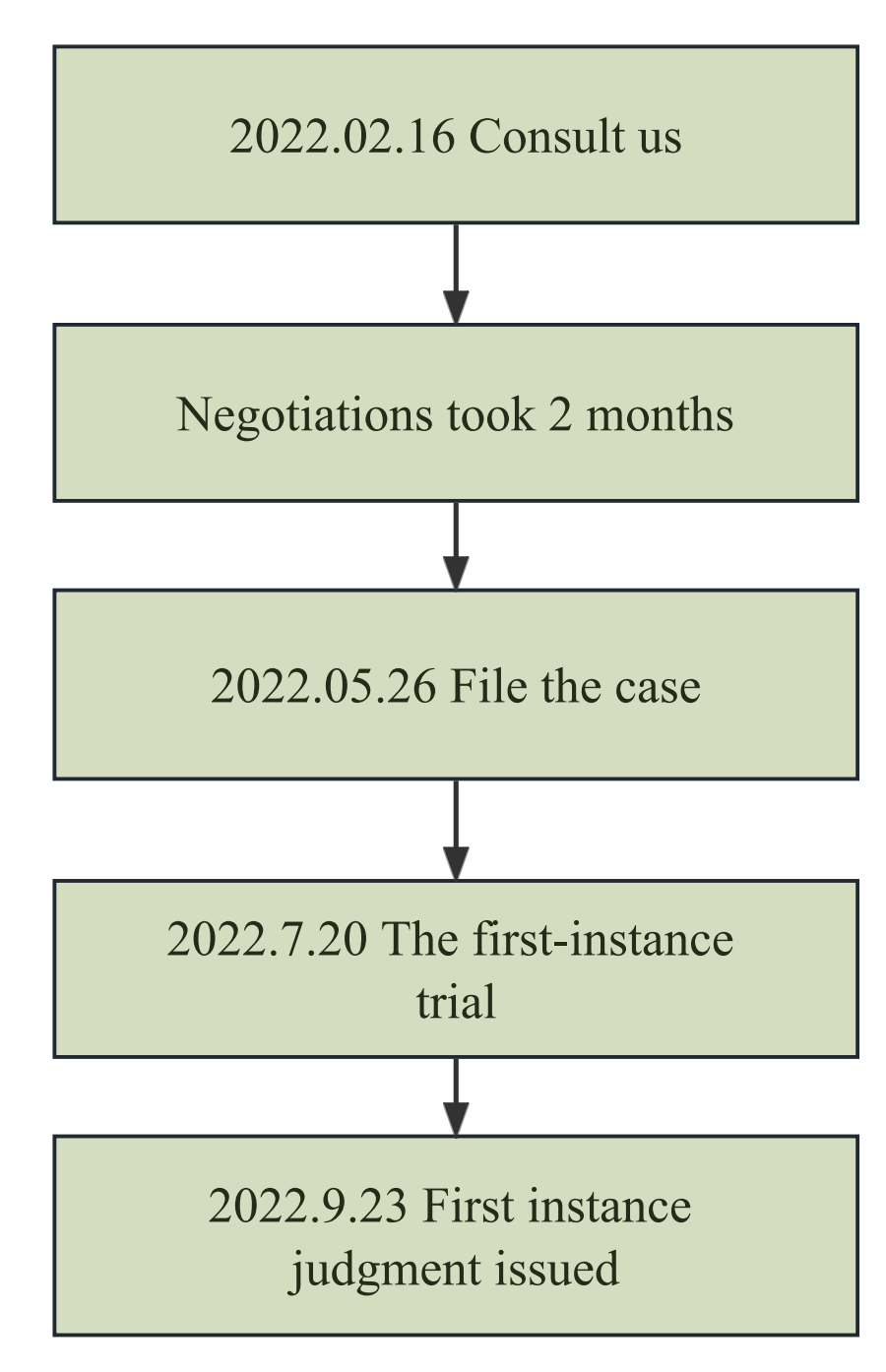 litigation process and duration