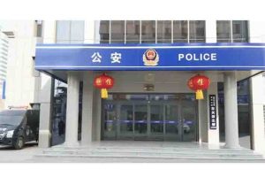 Public Security Organs